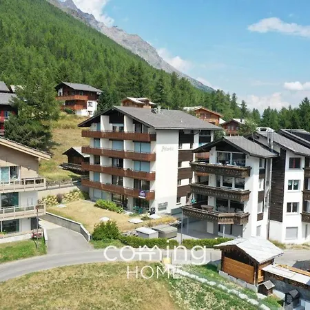 Beautiful 1-bed In Apartment Saas-Fee